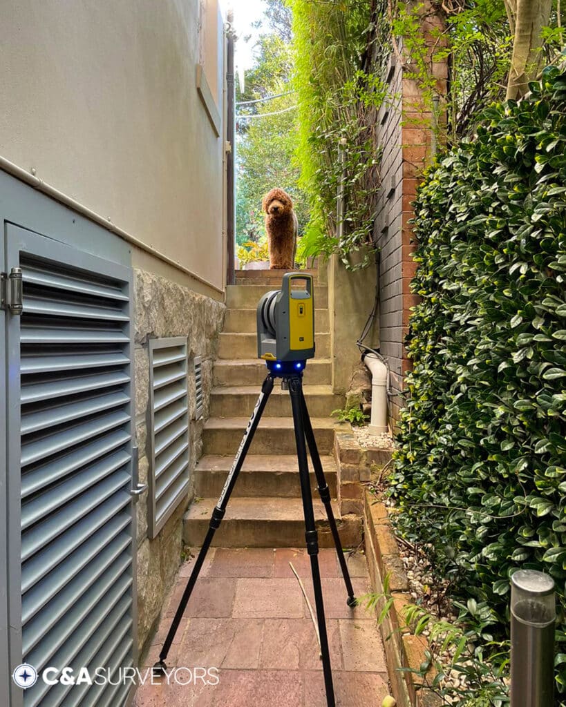 Surveyors Sydney Best Survey Dog2