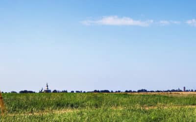 How 3D Surveys Can Benefit Your Next Project