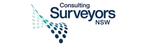 C&Amp;A Surveyors Partner - Consulting Surveyors Nsw Logo