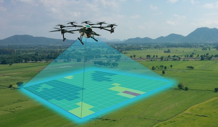 Drone Survey