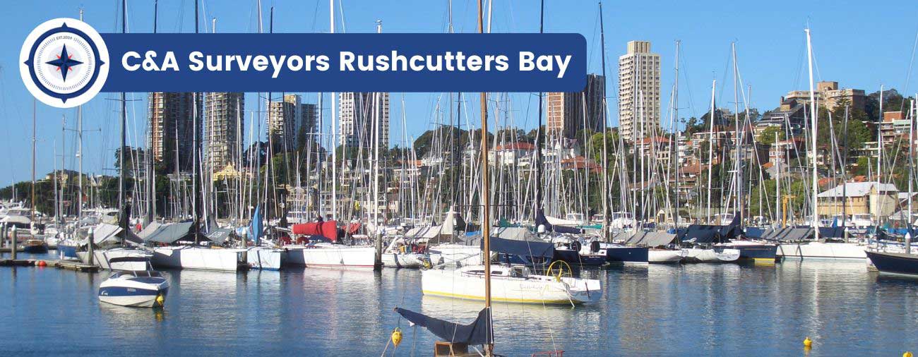 surveyors rushcutters bay